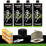 KIT TAGLIANDO KAWASAKI Z 750 '03-'14