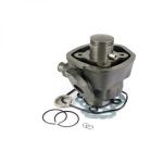 Kit Cilindro 50cc Diametro 40 per Scooter Minarelli Orizzontale H2O Spinotto 10