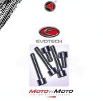 Evotech Kit viti serbatoio (5 viti) Silver