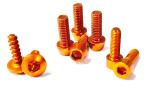 Kit viti cupolino ktm duke 690 08-10