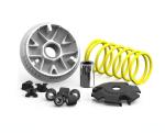 Variatore Malossi Multivar 2000 Per Aprilia Piaggio Vespa