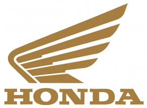 Adesivi intagliati ala Honda Oro