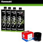 Kit tagliando manutenzione olio 10w-50 e filtro olio per Kawasaki